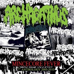 Mincecore Fever (7" Anthology 2005-2010)