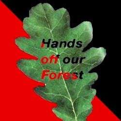 Hands Off Our Forest Fundraiser