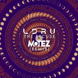 The Excuse (Motez remix)