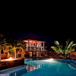 I Based It on a Weapon I Saw in a Dream