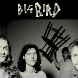 Big Bird