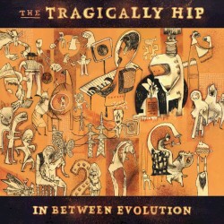 In Between Evolution