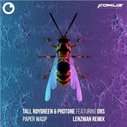 Paper Wasp (Lenzman remix)