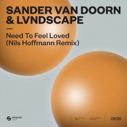 Need to Feel Loved Nils (Hoffmann extended)