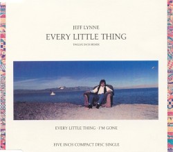 Every Little Thing