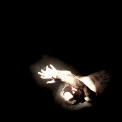 Redenção (Três Gatos e um Cachorro)