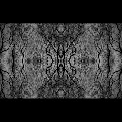 Elevated to the 20th Floor