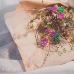 拙い愛を君だけに