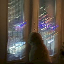 CIGARETTES IN THE RAIN