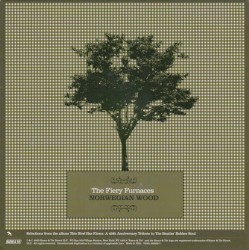 Norwegian Wood / I’m Looking Through You