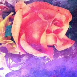 Jardim Das Cores Dancantes