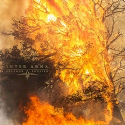 The Atavist’s Meridian