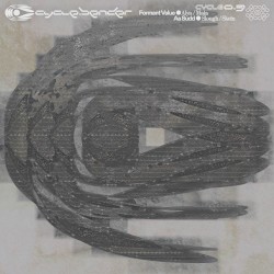 cycle0.3 - Formant Value // Aa Sudd