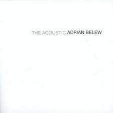 The Acoustic Adrian Belew