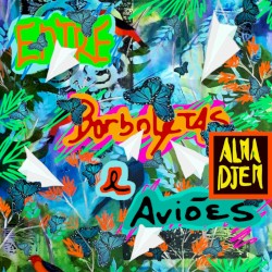 Entre Borboletas e Aviões