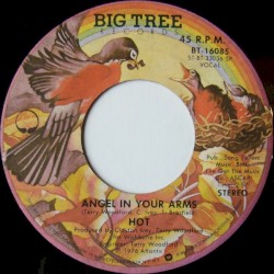 Angel in Your Arms / Just 'Cause I'm Guilty