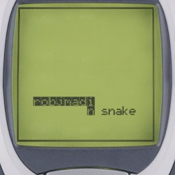 Snake