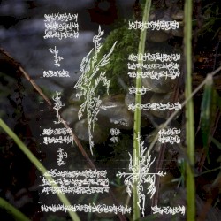 biogeochemicᵃ | *model.0f:milankovitch cYcles//press-->Start2begin(s)imulation ..