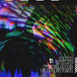 Run Wild / Feeling Forever