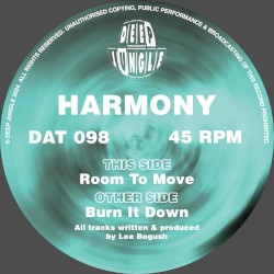 Burn It Down / Room to Move
