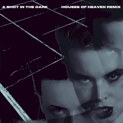 A Shot in the Dark (Houses of Heaven remix)