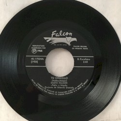 Tu orgullo / Sin temor