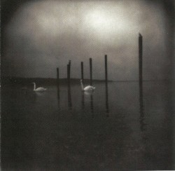 Conference of the Birds