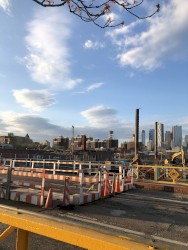 Sticks and the Pines