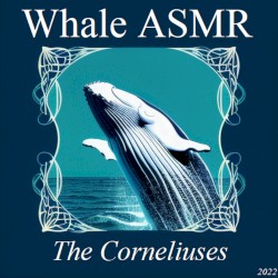 Whale ASMR