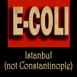 Istanbul (not Constantinople)