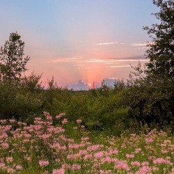 It’s That Time Again