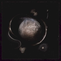 Cold Black Suns