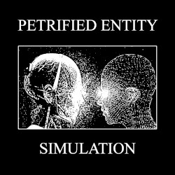 Simulation
