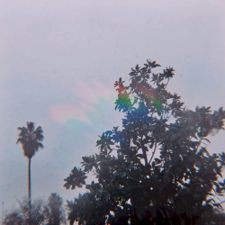 Acid Rain
