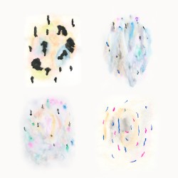 Limited Struggling Human Being