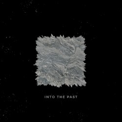 Into the Past