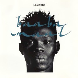 Lam Toro