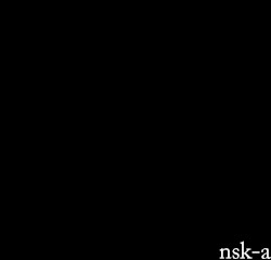 nsk-a