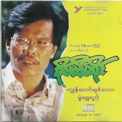 ကျွန်တော်ချစ်သော မှုံရွှေရည်