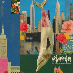 Flipper: Sghubu Indie Flips