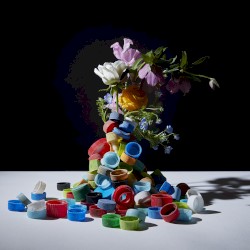 ビャクレンのうた