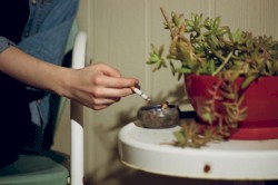 live in san antonio, texas