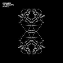 The Awakening Remixes