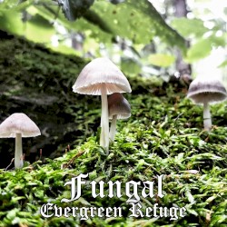 Fungal