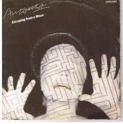 Escaping From a Maze