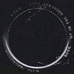 Up in a Cocoanut Tree