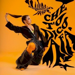 Che t’o dico a fa’