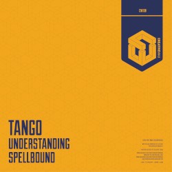 Understanding / Spellbound