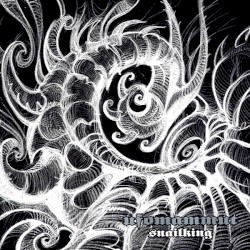 Snailking