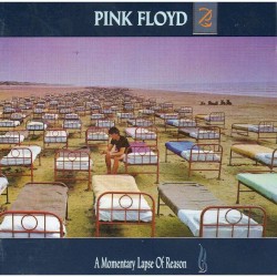 A Momentary Lapse of Reason